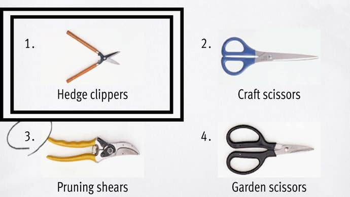 Like a Dragon Infinite Wealth, a pair of Hedge Clippers have been highlighted on some test answers.