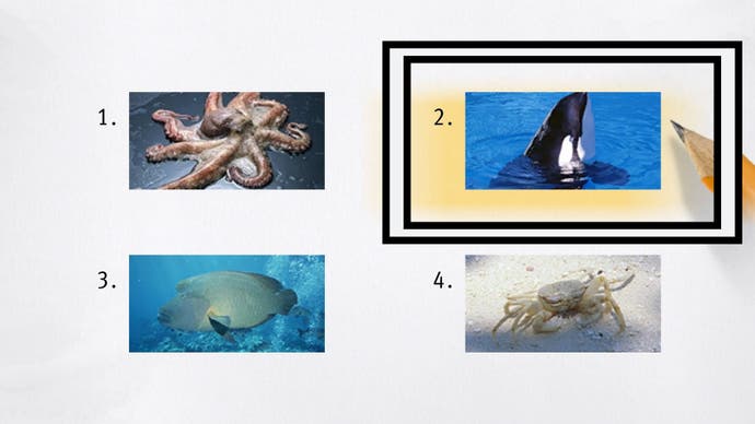 Like a Dragon Infinite Wealth, a picture of a killer whale is circled in a set of test answers.