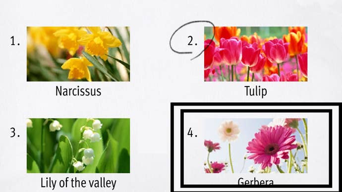 Like a Dragon Infinite Wealth, Gerberas - a plant that looks like a big daisy - have been circled in a test.