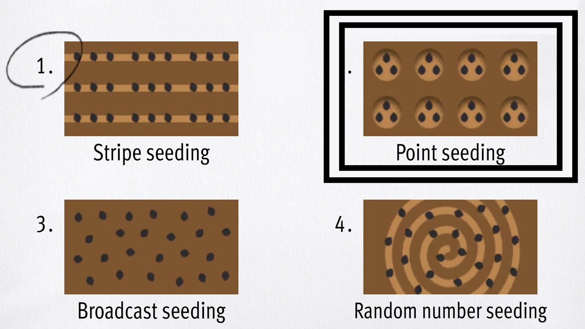 Like a Dragon Infinite Wealth, a set of point seeding diagrams have been circled among four test answers.