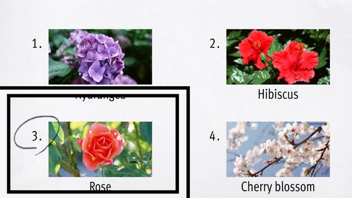 Like a Dragon Infinite Wealth, a Rose has been circled among four test answers