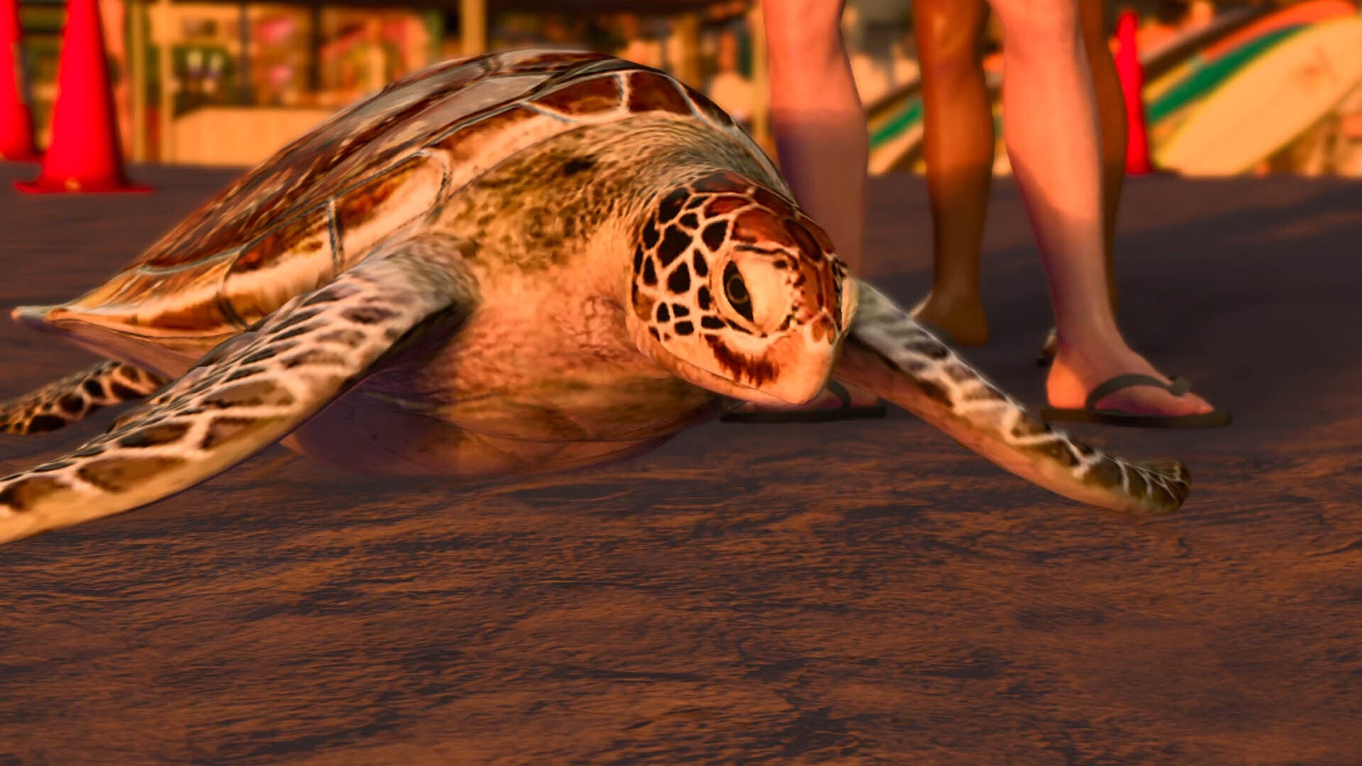 Like a Dragon Infinite Wealth, a less-than-impressed Sea Turtle is chilling on the sand.