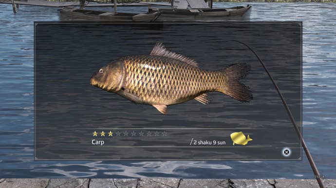 Like a Dragon Ishin, Carp