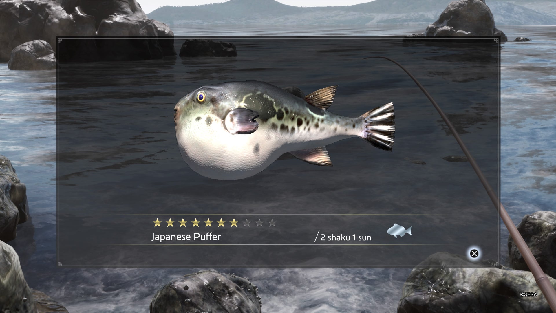 Like a Dragon Ishin, Japanese Puffer