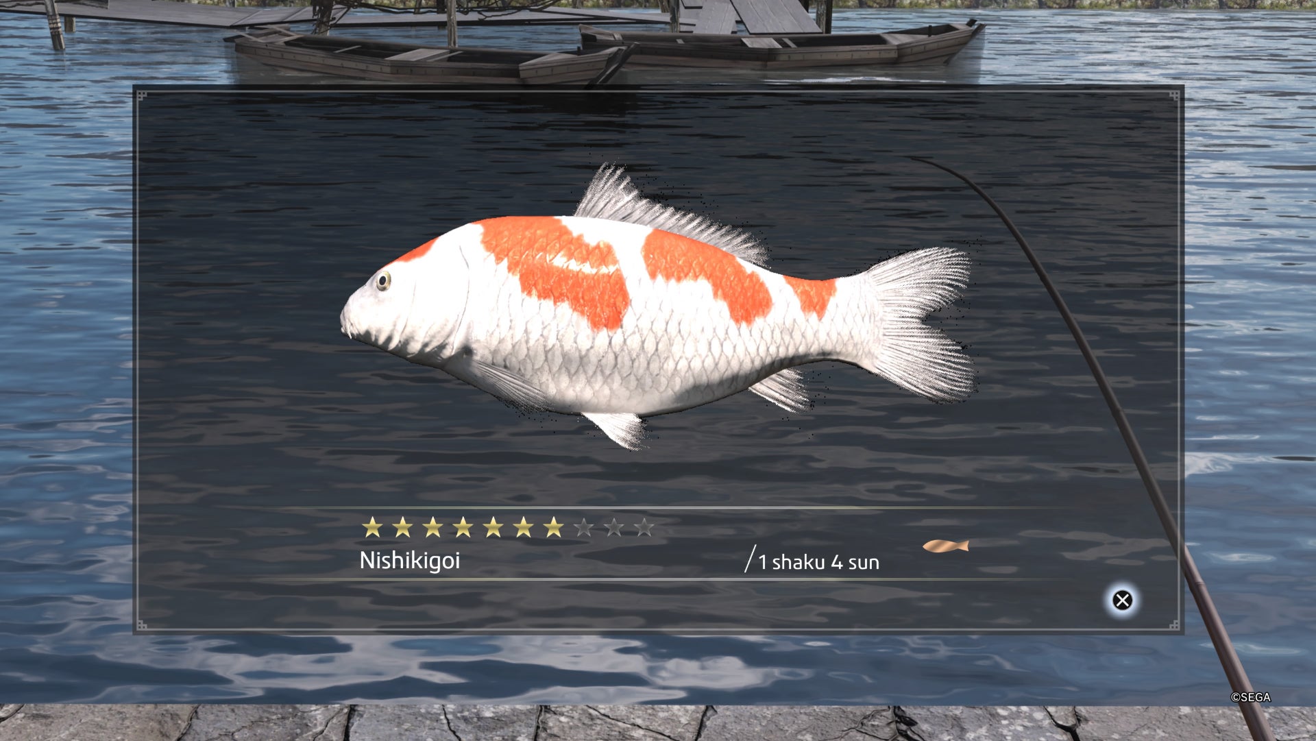 Like a Dragon Ishin, Nishikigoi