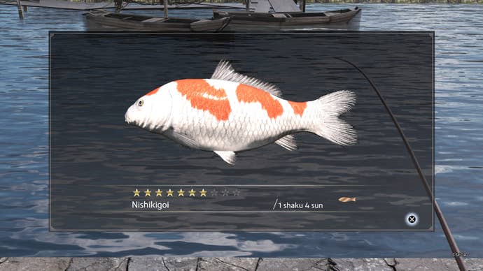 Like a Dragon Ishin, Nishikigoi