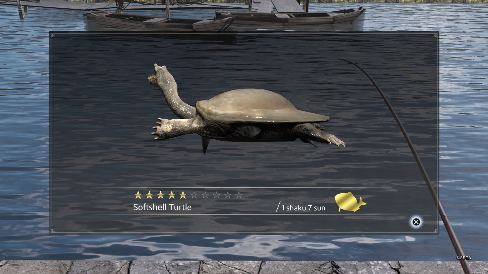 Like a Dragon Ishin, Softshell Turtle