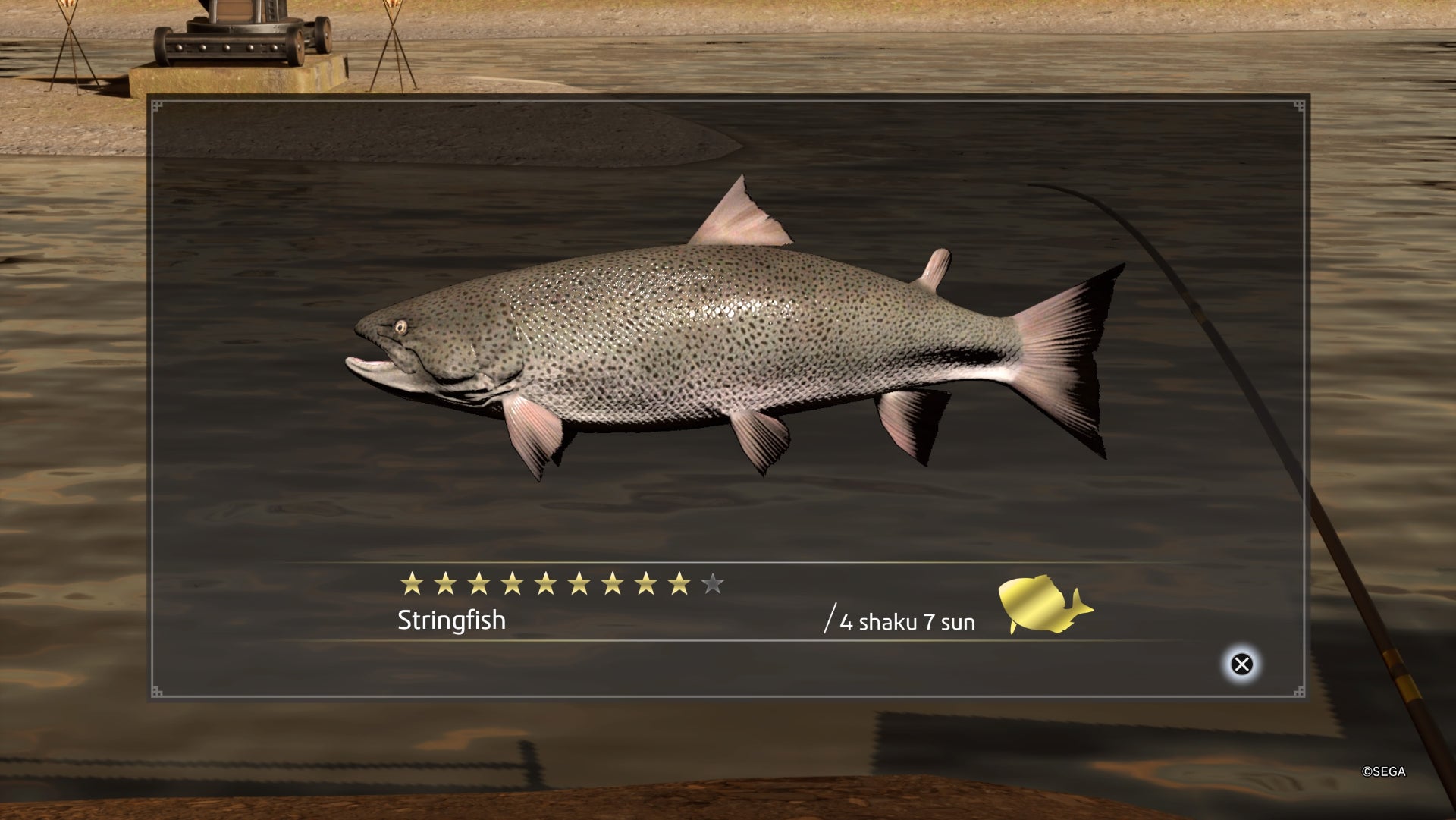 Like a Dragon Ishin, Stringfish