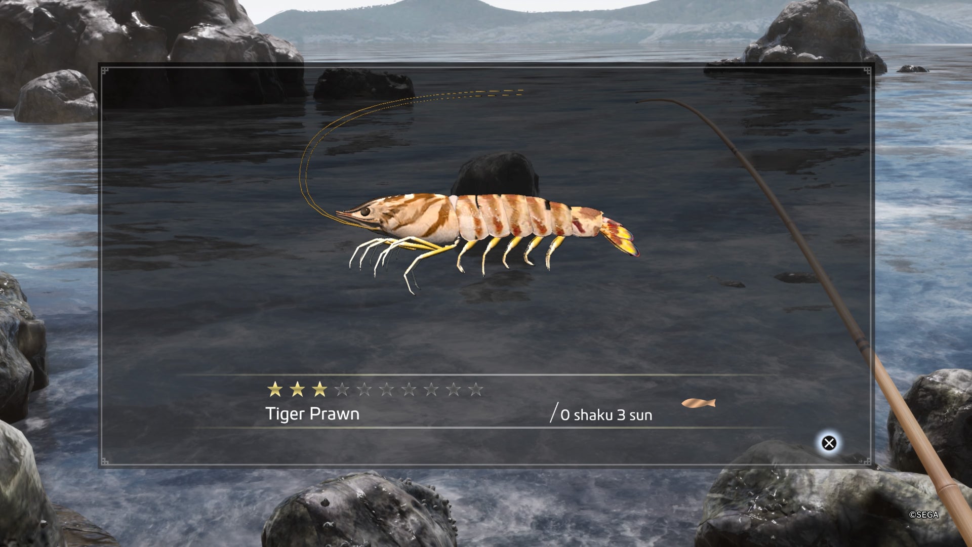 Like a Dragon Ishin, Tiger Prawn