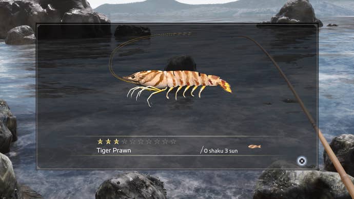 Like a Dragon Ishin, Tiger Prawn