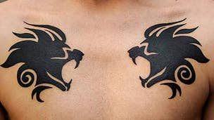 Man gets Lionhead lion heads tattooed on chest