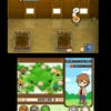 Capturas de pantalla de Harvest Moon: The Tale of Two Towns