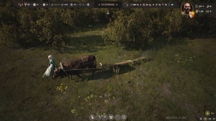 An ox performs their daily duties in Manor Lords