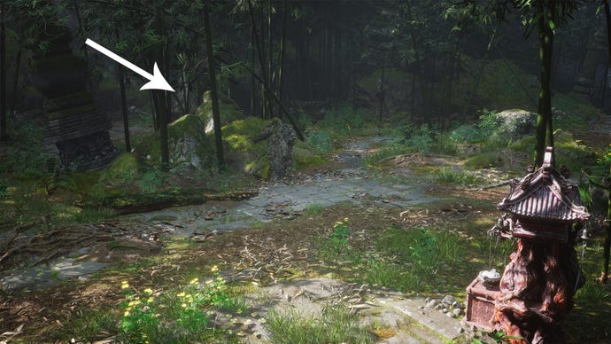 Bushes in Black Wind Forest in Black Myth Wukong.