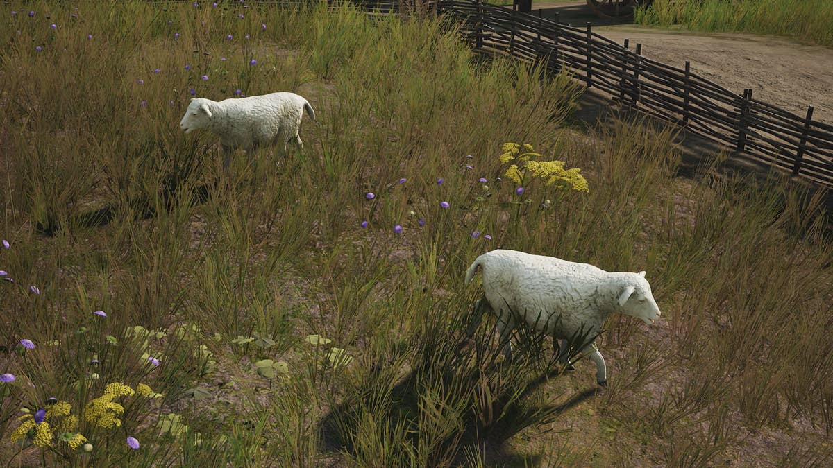 How to get Sheep and Sheep Farms in Manor Lords | Rock Paper Shotgun