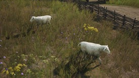 A pair of Sheep graze in a pasture in Manor Lords.