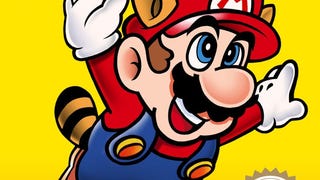 The Super Mario Bros. 3 box. Bright yellow background with Mario, arms wide like a bird's wings, flying slightly away to the camera's right. He's got a tail. He should get that looked at.