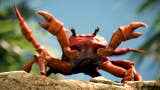 Battlefield 5 z easter-eggiem nawiązującym do mema - tańczące kraby na Wake Island