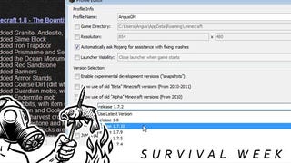 How To Make Minecraft A Survival Game