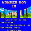 Screenshots von Wonder Boy: Monster Land