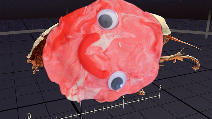 A smiling meat face covering up one of Valve’s SteamVR Home CT bug scans.