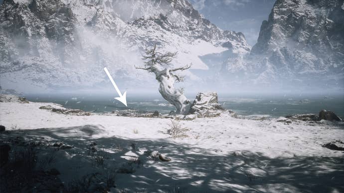 The Shade meditation spot in Black Myth Wukong.