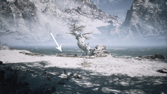 The Shade meditation spot in Black Myth Wukong.