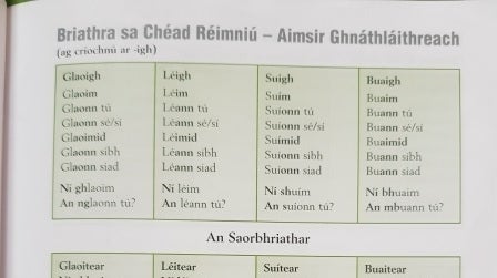 Meet the person who translated the original 151 Pokémon into Irish