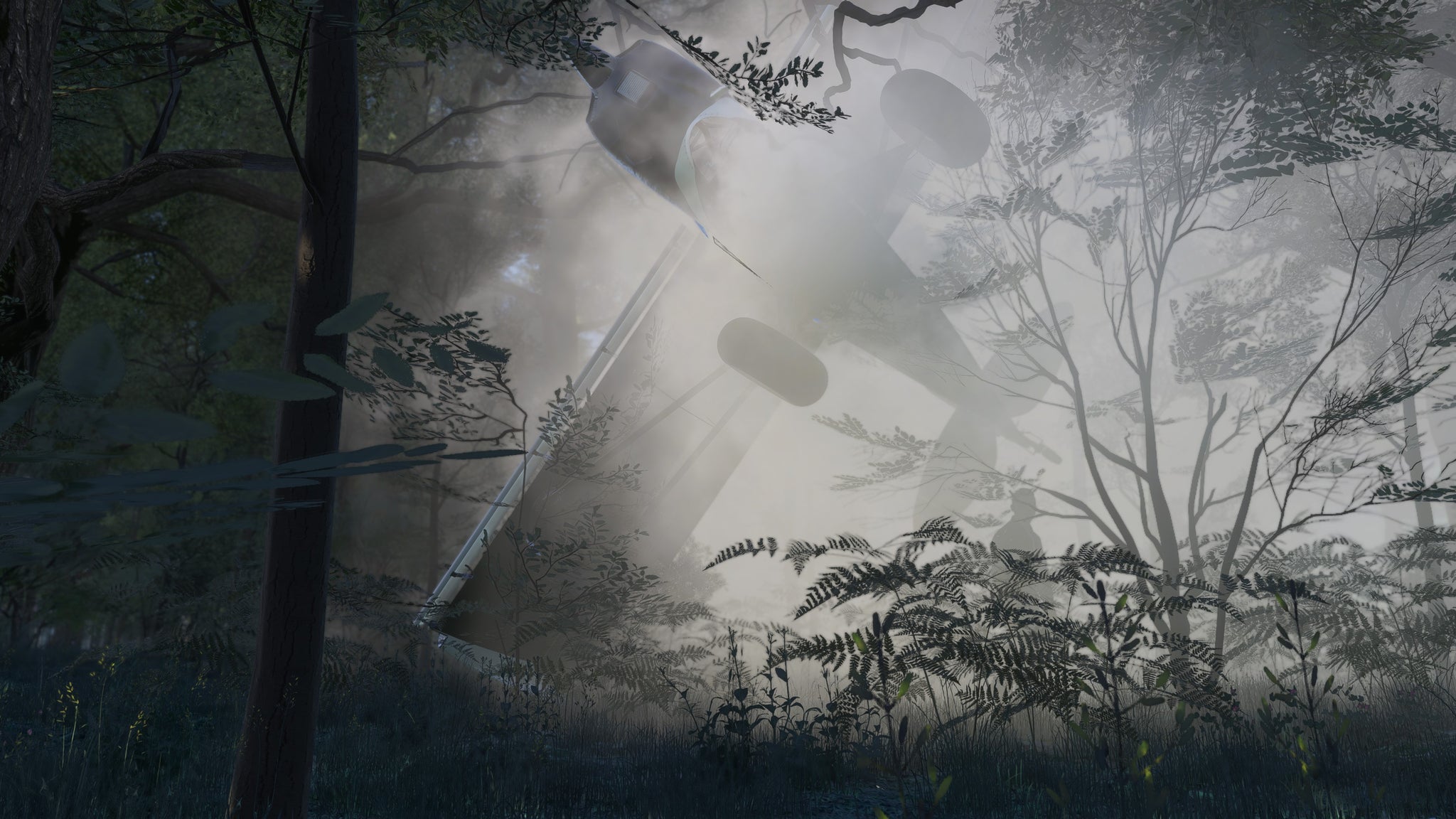 A plane crashes in a foggy forest. - 5