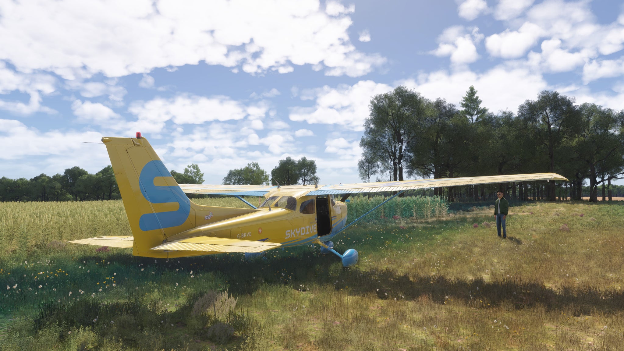 A pilot stands next to their yellow plane in a lovely field. - 4