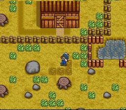 Harvest Moon (Virtual Console) screenshot
