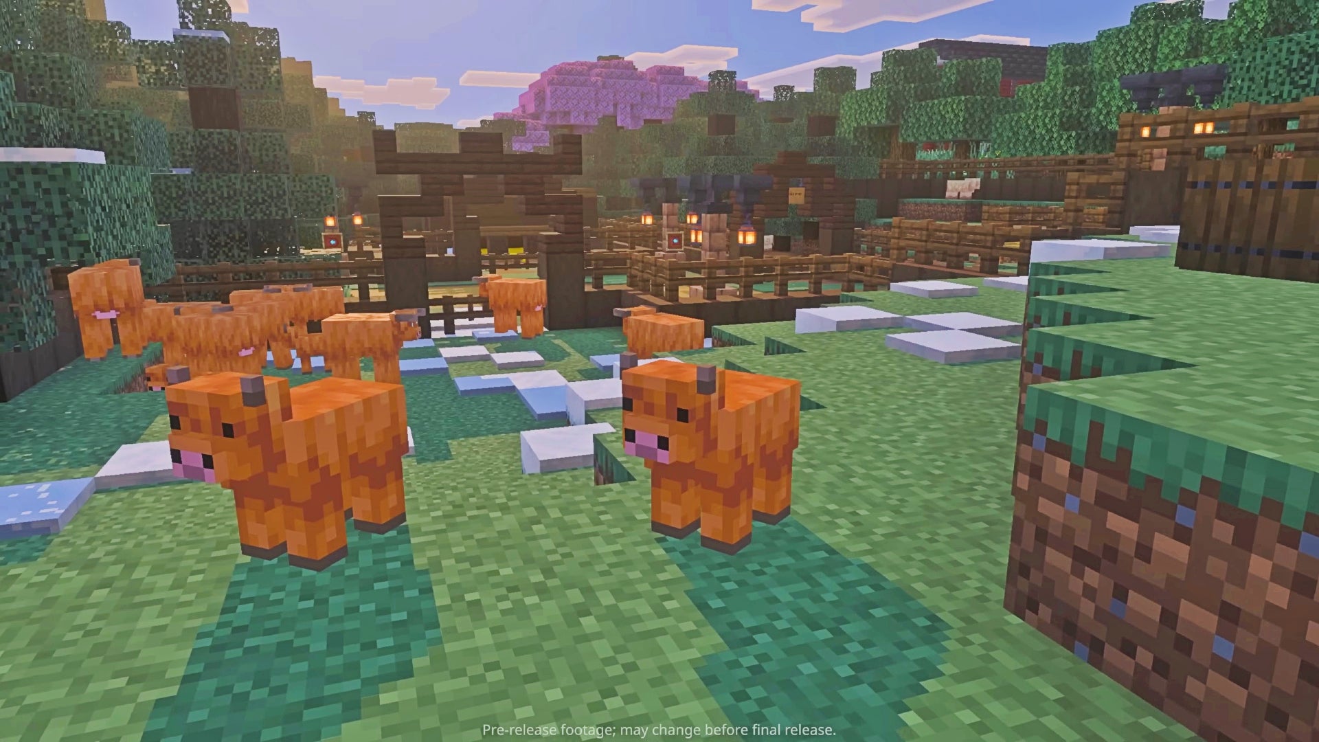 Minecraft-bringt-Baby-Tiere-ins-Spiel-und-ich-habe-Angst-davor-was-diesen-knuffigen-Mini-Mobs-bl-ht