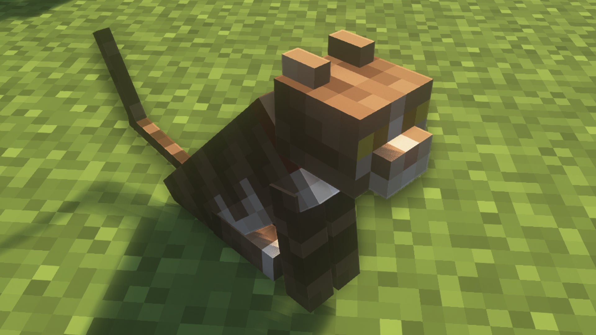 Minecraft cat deals