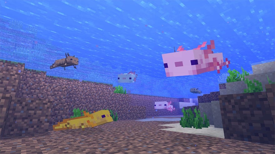 A screenshot from Minecraft’s Caves & Cliffs update showing axolotls under water, looking happy, in various colours including pink, gold, brown and baby blue.