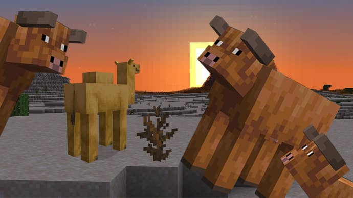 Minecraft’s new warm cows peeking into an in-game scene showing a camel admiring the sunset.