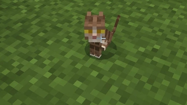 Minecraft - jak oswoić kota | Eurogamer.pl