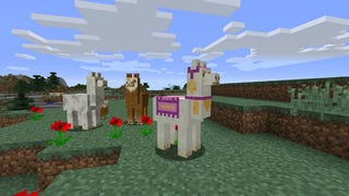 Minecraft Exploration update brings llamas and serious treasure hunting with it