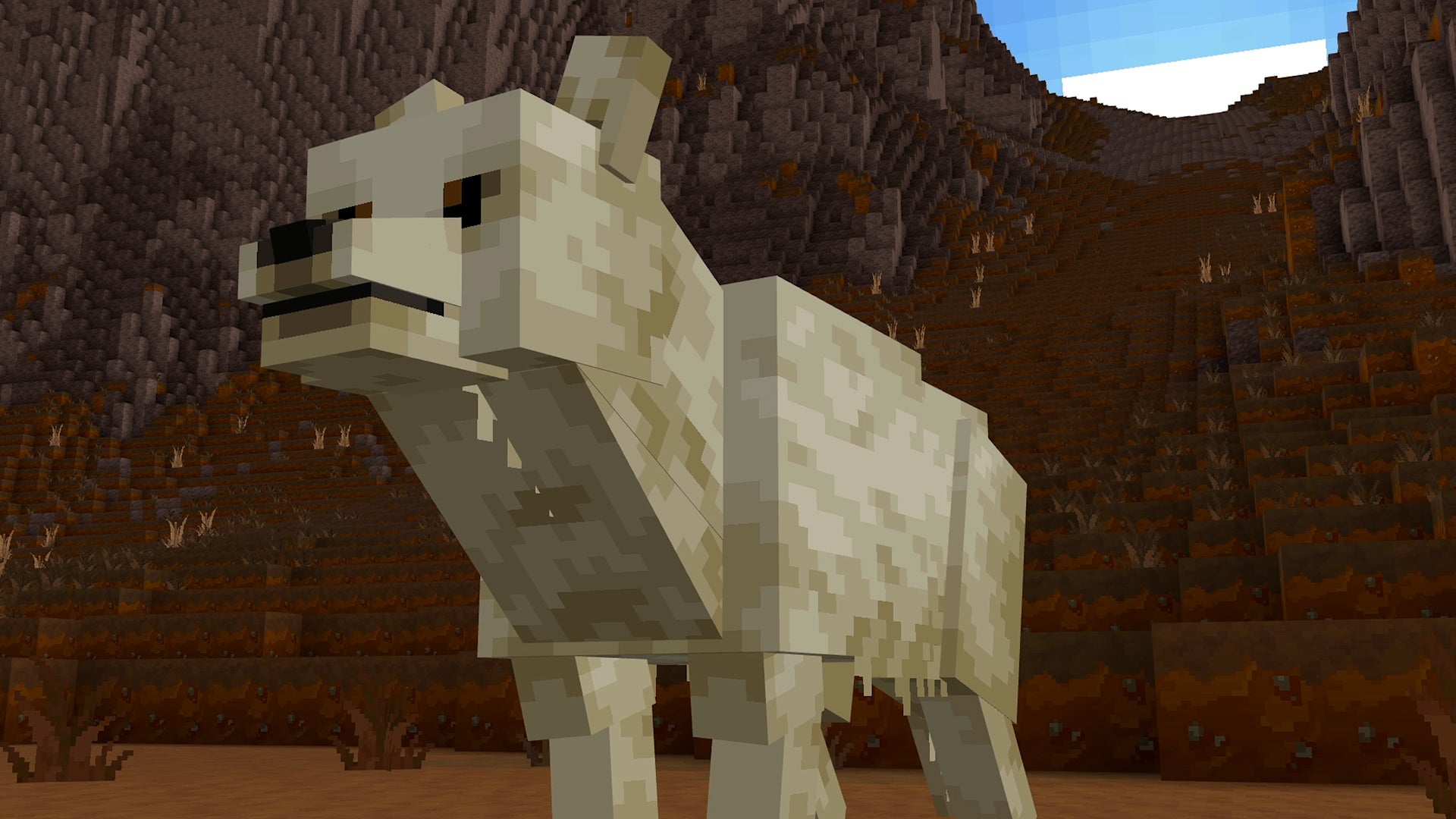 Minecraft Education - Planet Earth 3