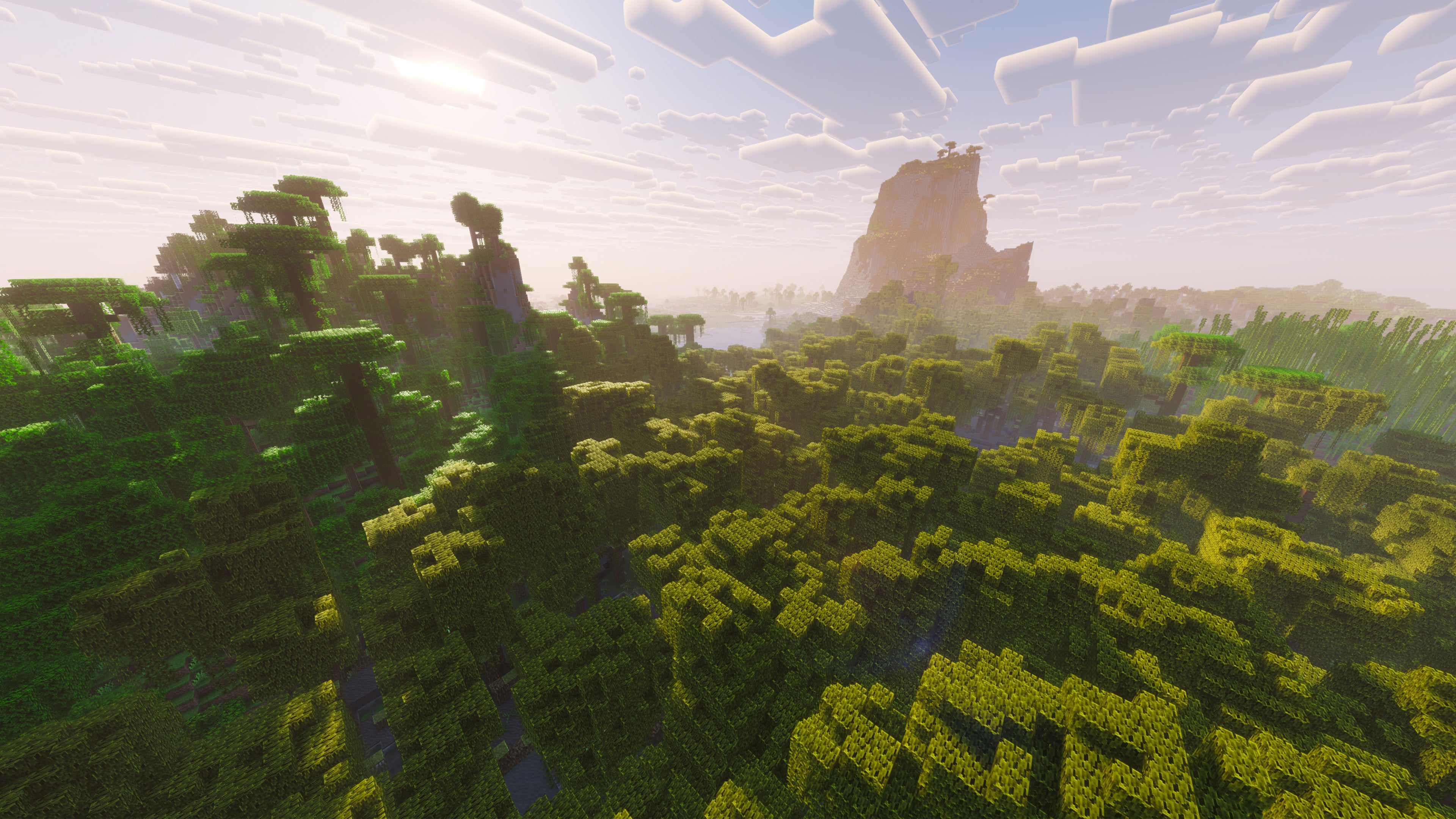 A landscape screenshot of a Minecraft seed, showing a large forest with a massive mountain in the distance. - 51