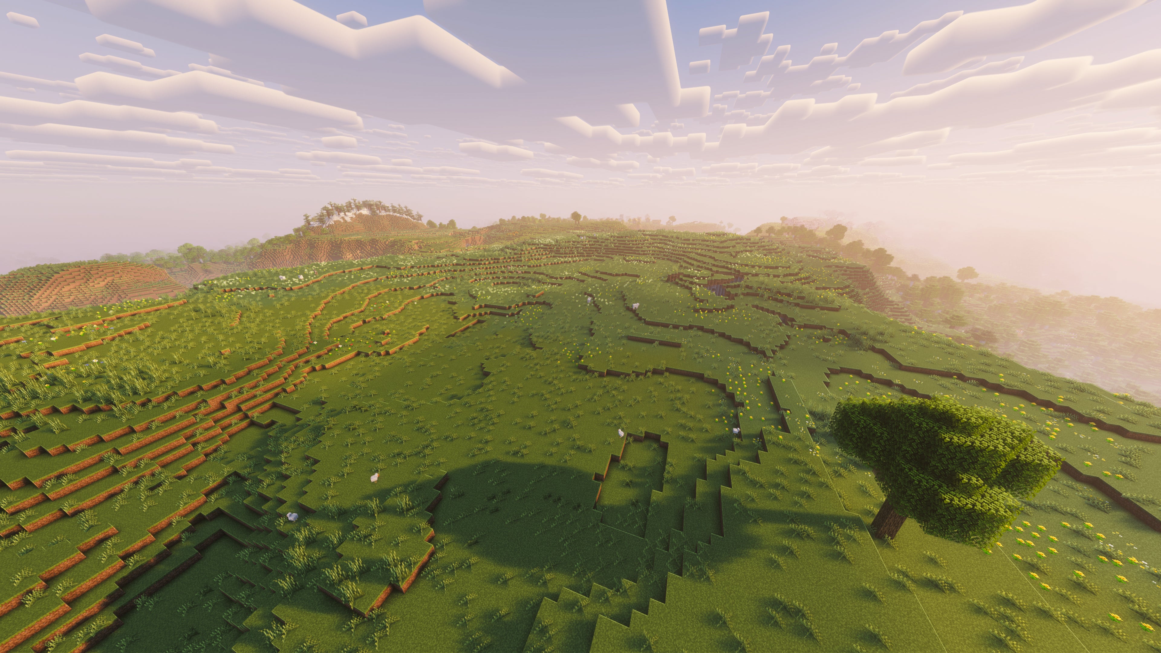 A landscape screenshot of a Minecraft seed, showing a very flat Plains biome, perfect for building a home. - 35