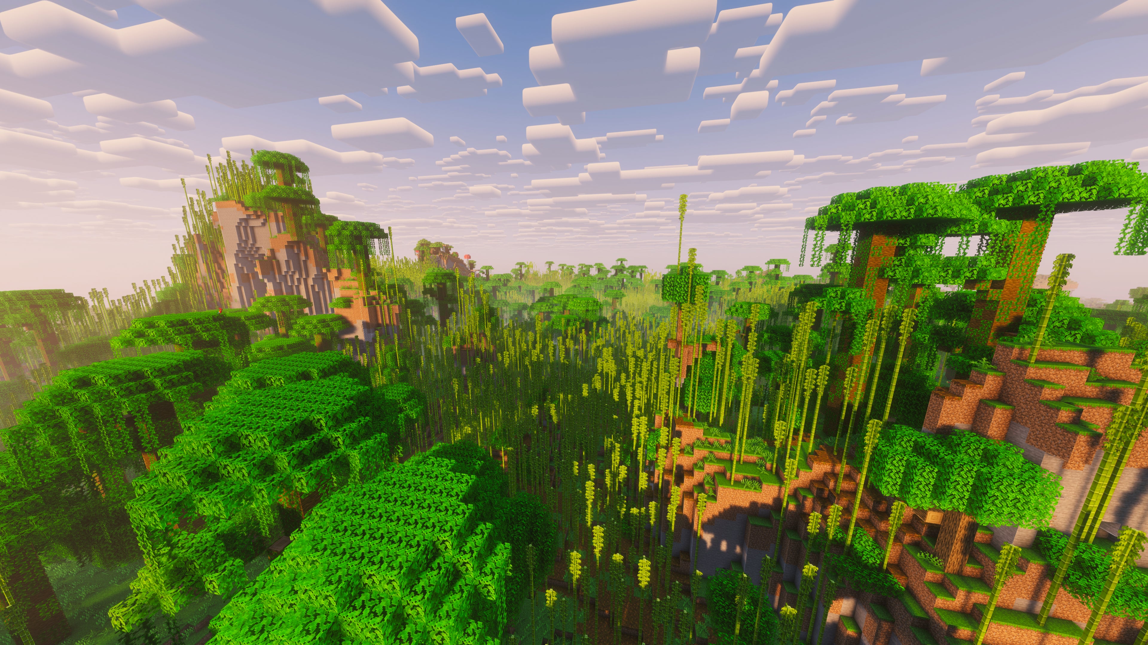 A landscape screenshot of a Minecraft seed, showing a massive Bamboo Jungle. - 22