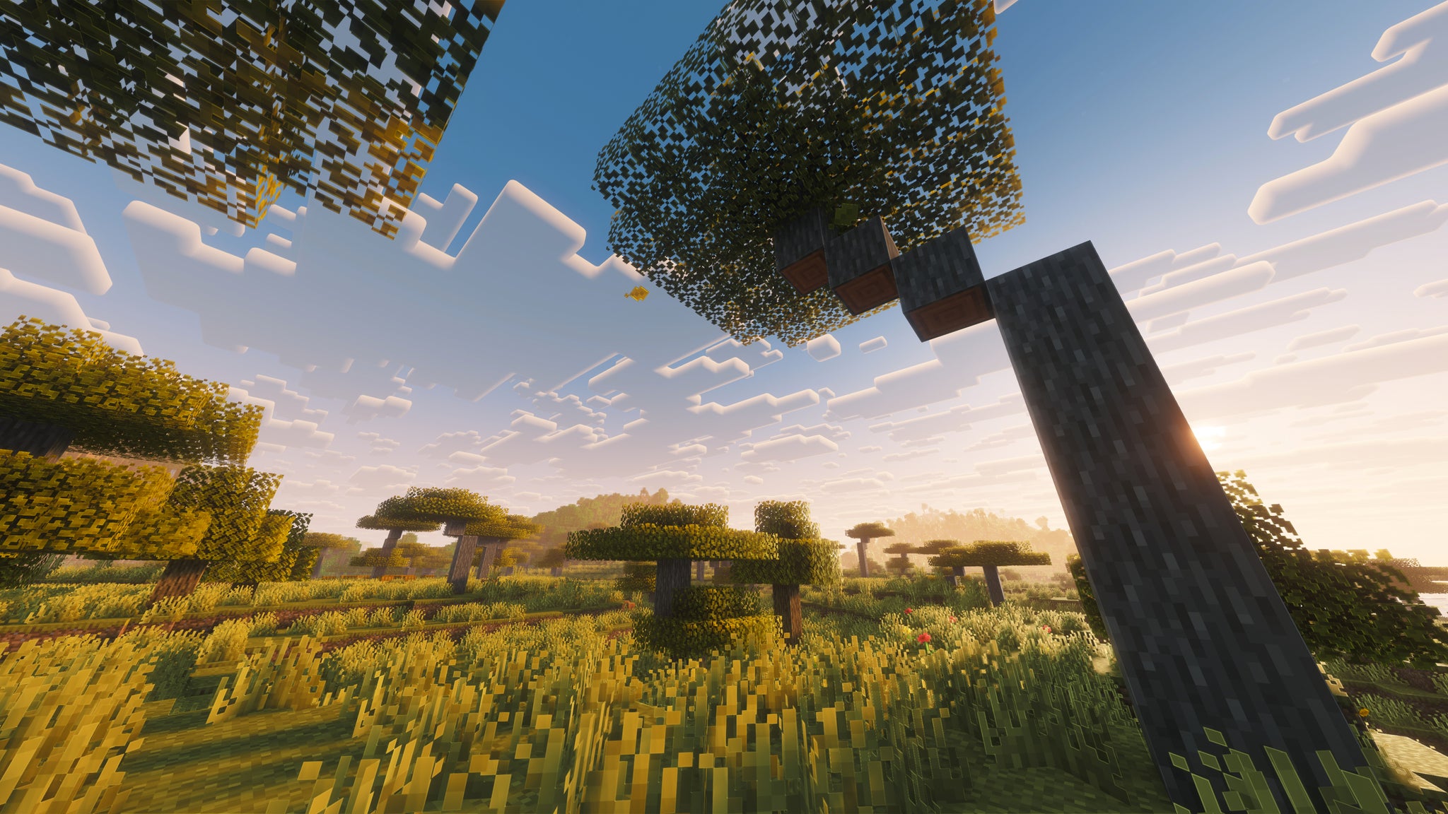 A landscape screenshot of a Minecraft seed, showing a Wooded Badlands biome. - 47