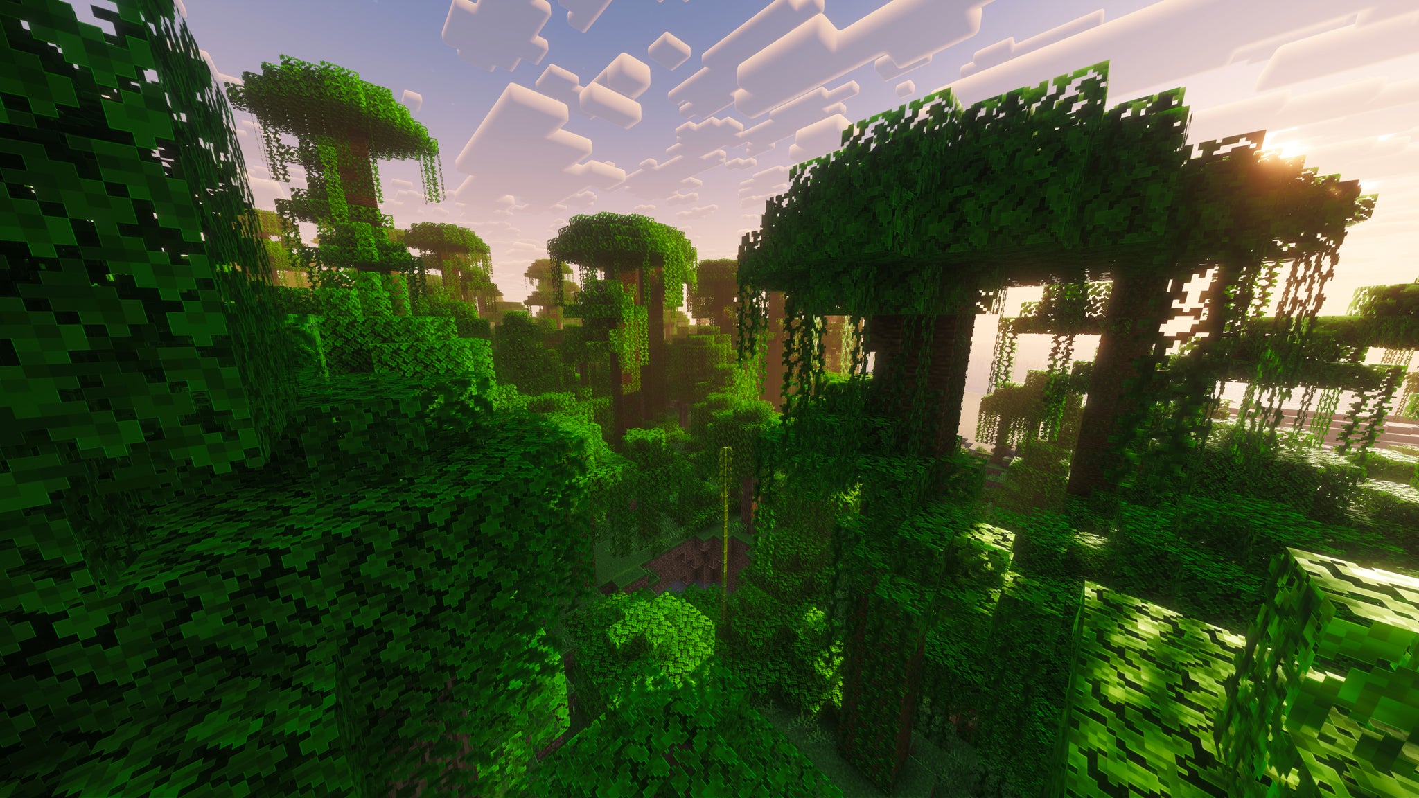 A landscape screenshot of a Minecraft seed, showing a large Bamboo Jungle biome. - 25