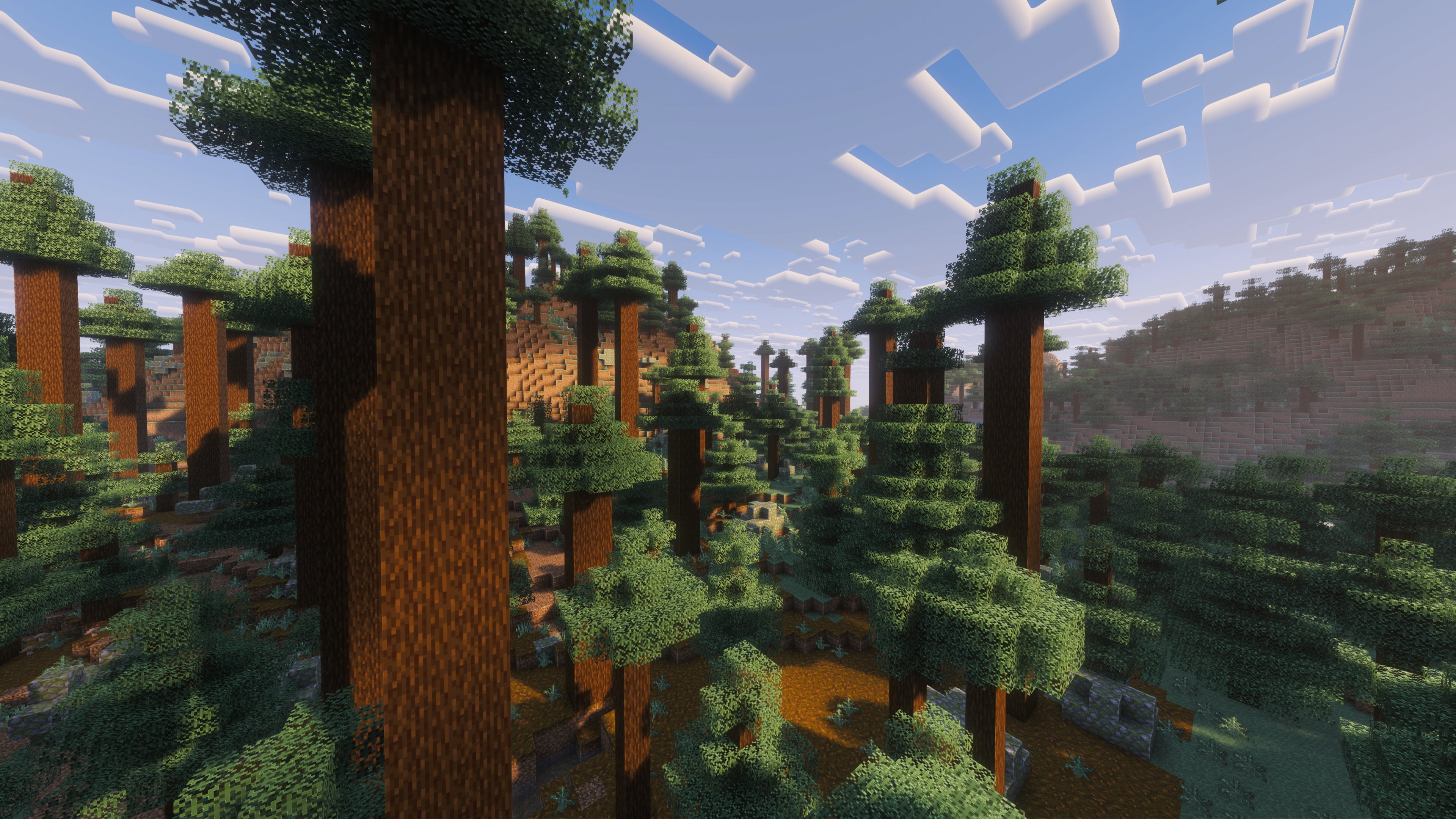 A landscape screenshot of a Minecraft seed, showing an Old Growth Pine Taiga forest. - 45