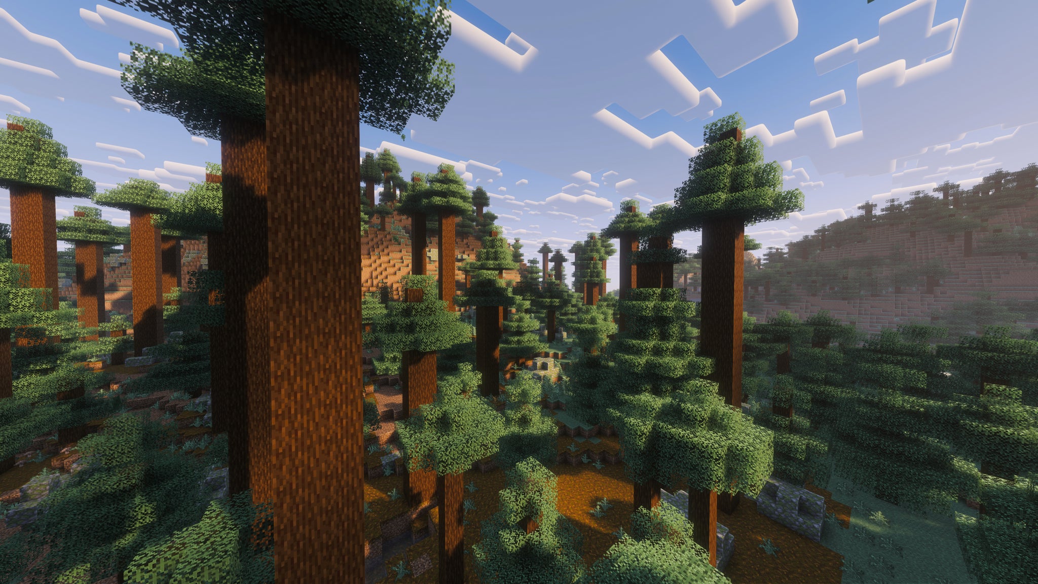 A landscape screenshot of a Minecraft seed, showing an Old Growth Pine Taiga forest. - 45