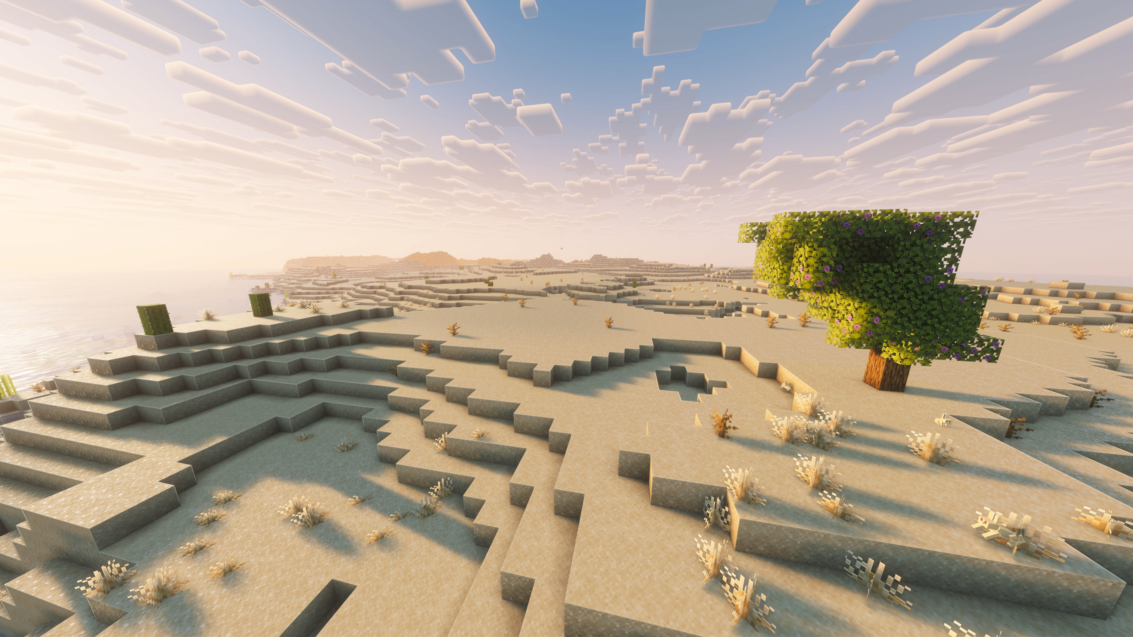 A landscape screenshot of a Minecraft seed, showing a single tree in the foreground amid a Desert biome. - 36