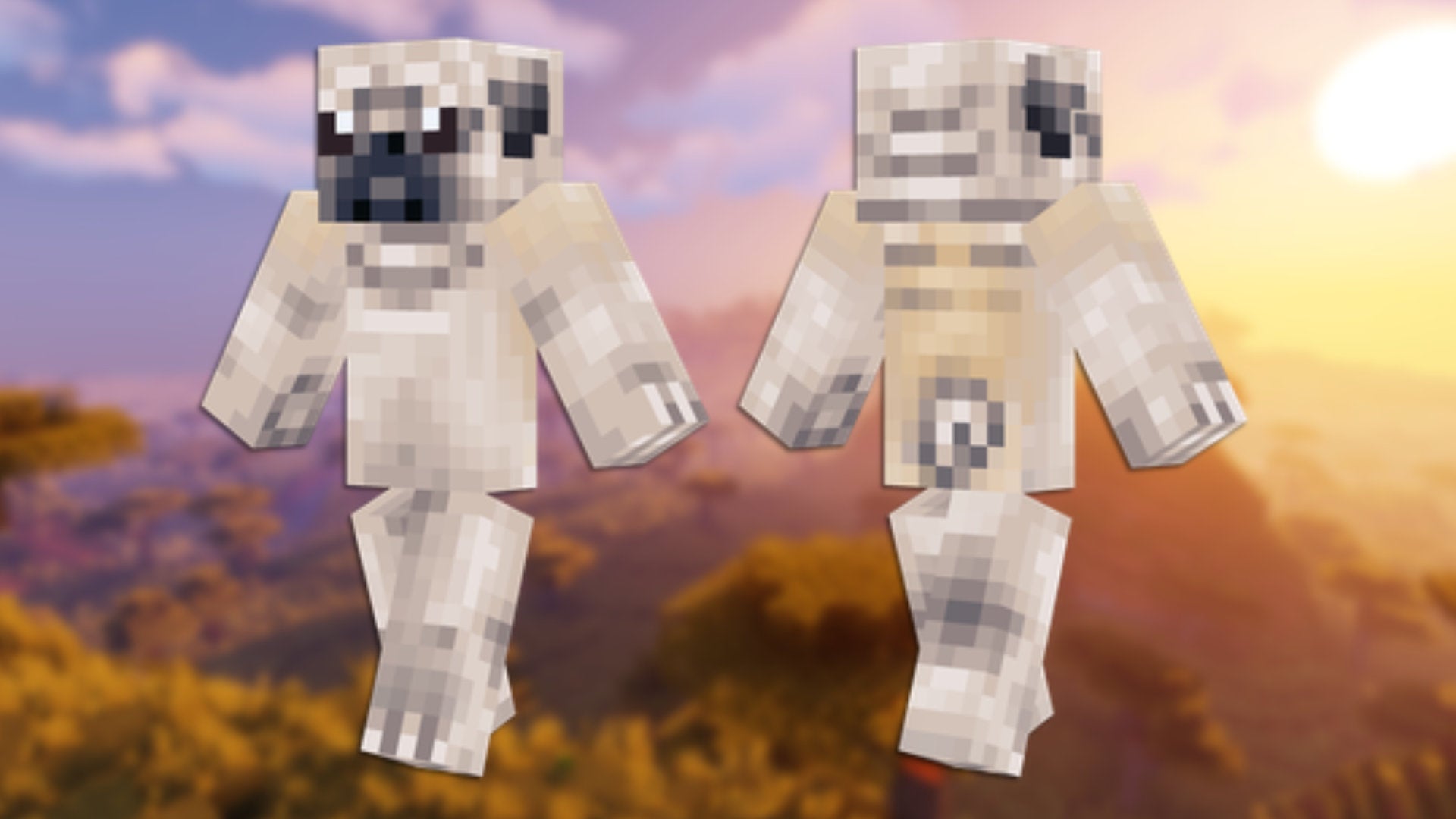 A front and back view of the Pug Minecraft skin. - 55