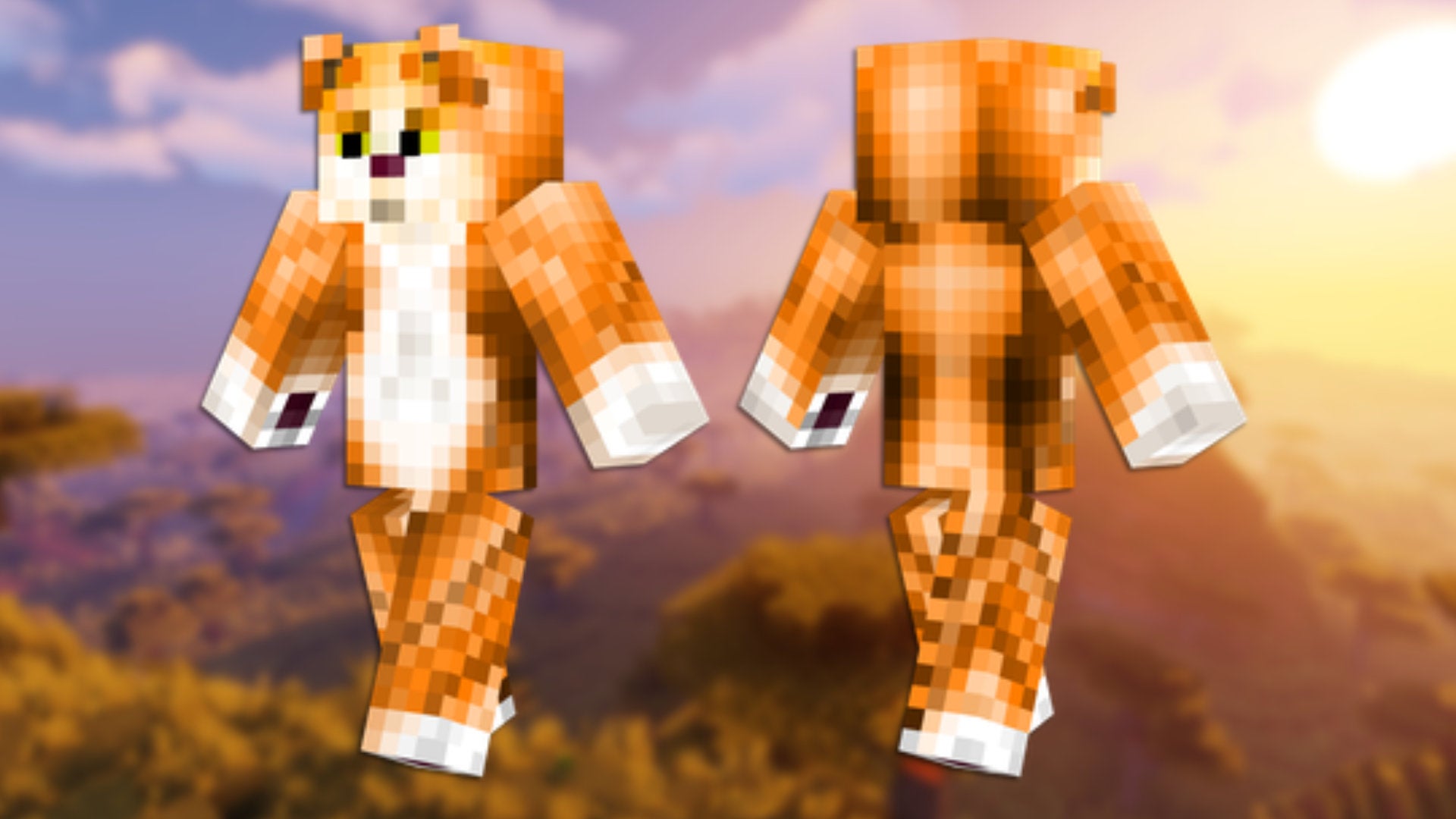 A front and back view of the Tabby Cat Minecraft skin. - 62