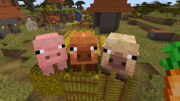 A screenshot showing Minecraft’s three pig variants, including the new warm pig and cold pig.