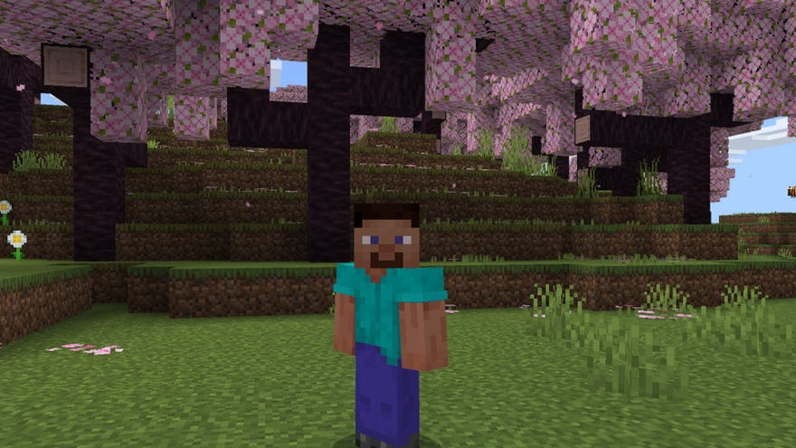 Vanilla Minecraft screenshot of Steve under cherry blossom trees.